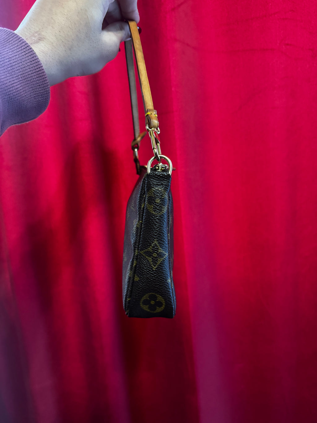 Louis Vuitton Pochette Accessoires