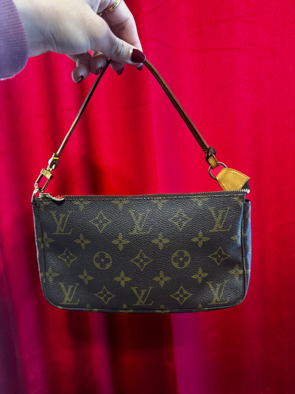 Louis Vuitton Pochette Accessoires