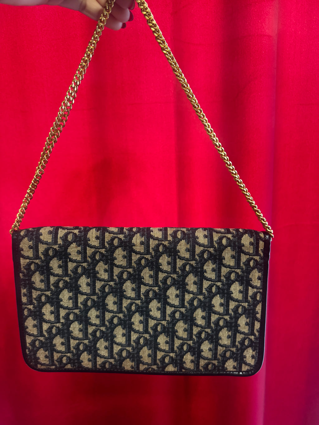 Vintage Dior Monogram Chain Shoulder Bag - RARE Galliano Era Piece